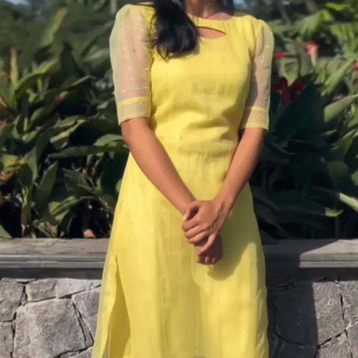 Women Embroidered Organza Straight Kurta